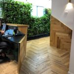 דירה בפוסט מספר: 239162