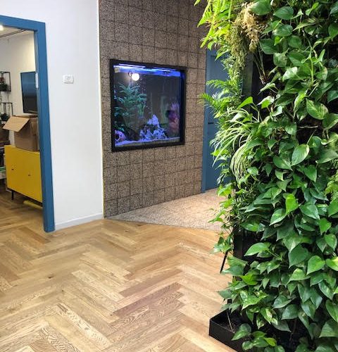 דירה בפוסט מספר: 246328