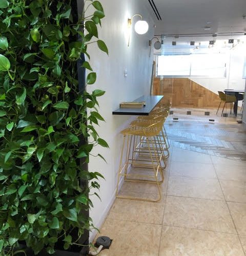 דירה בפוסט מספר: 246328
