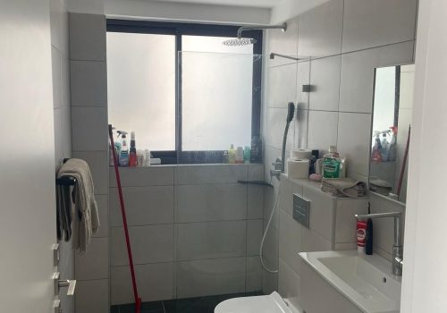 דירה בפוסט מספר: 246513