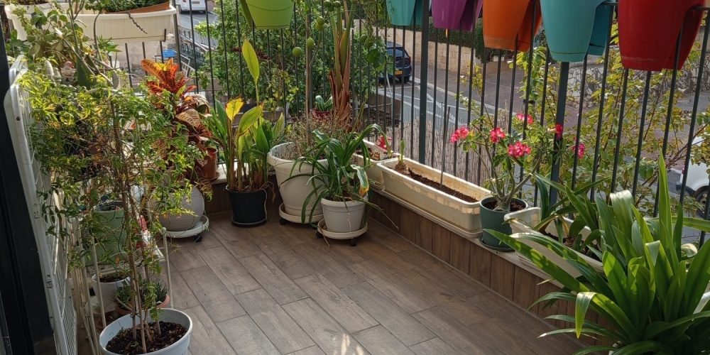 דירה בפוסט מספר: 247677