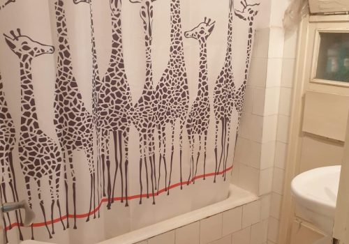 דירה בפוסט מספר: 247727